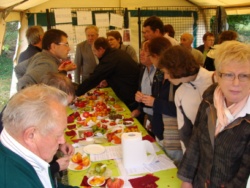 Récupération de graines