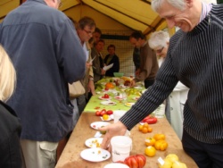 Récupération de graines