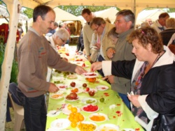 Récupération de graines