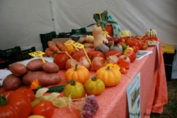 Un des nombreux stands