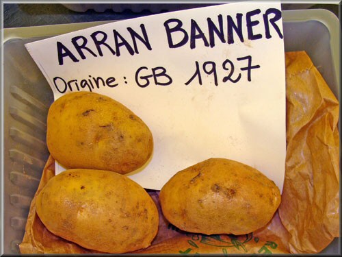 Arran Banner
