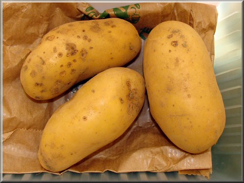 Pomme de terre Celtiane