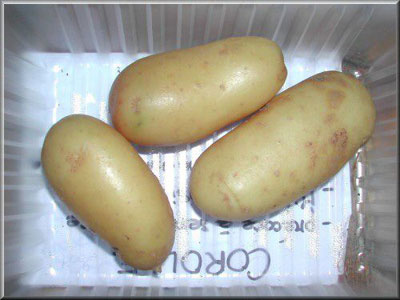 Pomme de terre Corolle
