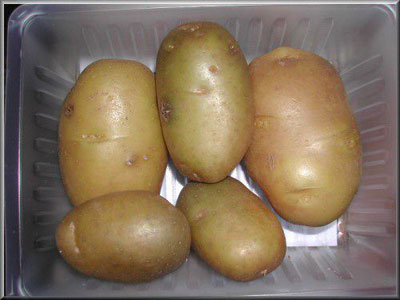 Pomme de terre Fin de Siècle