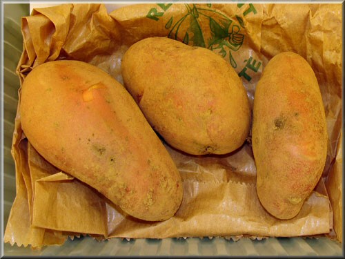 Pomme de terre Franceline