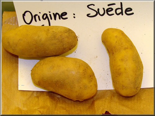 Pomme de terre Mandel