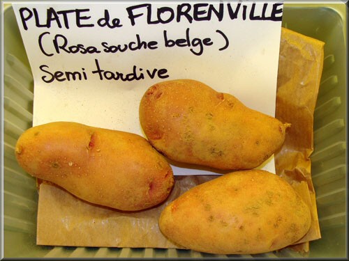 Plate de Florenville