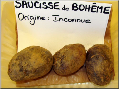 Pomme de terre Saucisse de Bohême