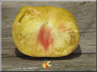 Tomate 1884 Yellow Pink Heart