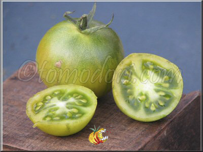 Tomate Aunt Ruby's German Green Cherry