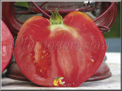 Tomate Australian Oxheart