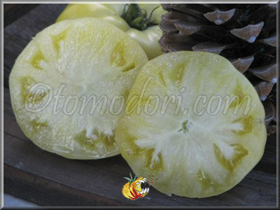 Tomate Beauté Blanche du Canada