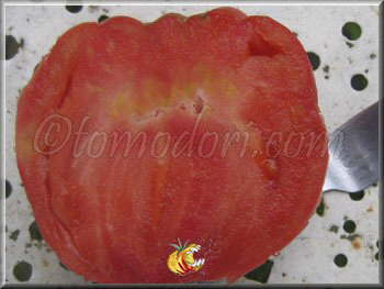 Tomate Belmonte