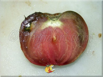 Tomate Black and Red Boar 