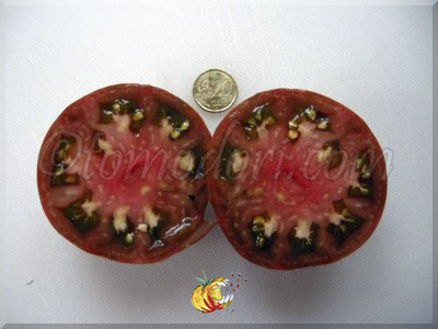 Tomate Black and Red Boar 
