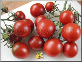 Tomate Black Ethiopian