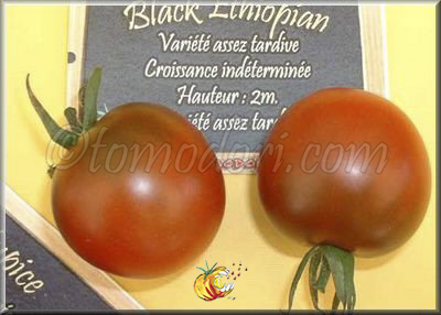 Tomate Black Ethiopian