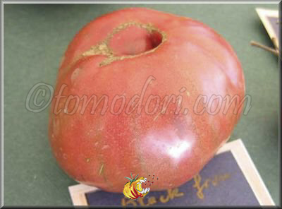 Tomate Black From Tula