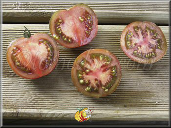 Tomate Black Prince