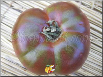 Tomate Blue Fruit