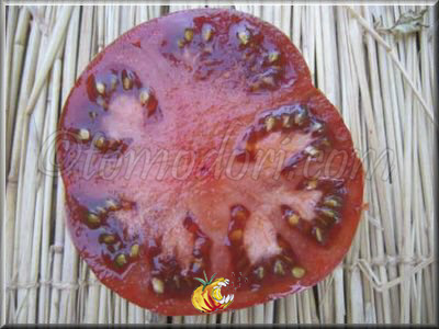 Tomate Blue Fruit