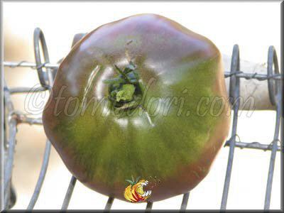 Tomate Brad's Black Heart