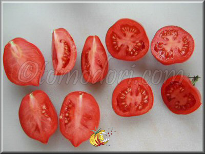 Tomate Britain's Breakfast