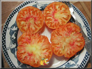 Tomate Burracker's Favorite