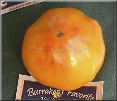 Tomate Burracker's Favorite