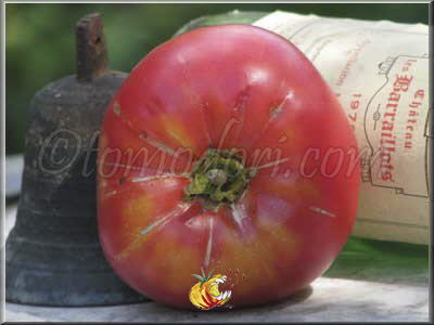 Tomate Château Rose