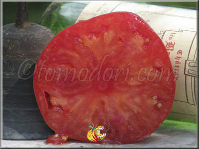 Tomate Château Rose