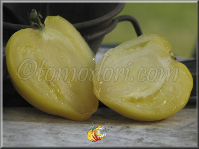 Tomate Coeur de Boeuf Blanc