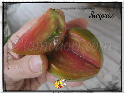 Tomate Coeur de Boeuf Surpriz