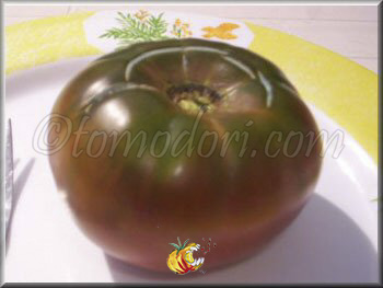 Tomate Cuban Black