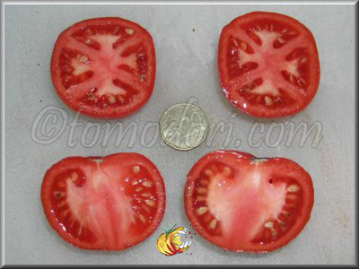 Tomate Cueni