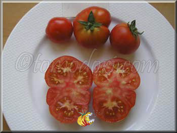 Tomate Dänisch Export