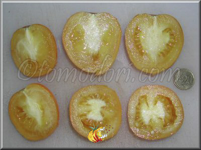 Tomate De Barao Yellow