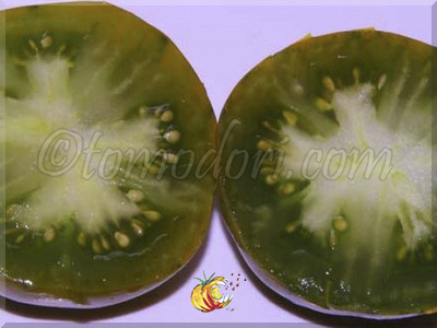 Tomate George's green