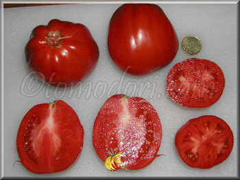 Tomate German Red Strawberry