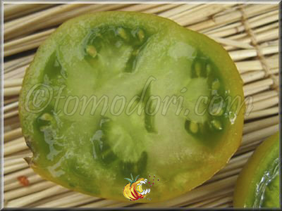 Tomate Gold And Green