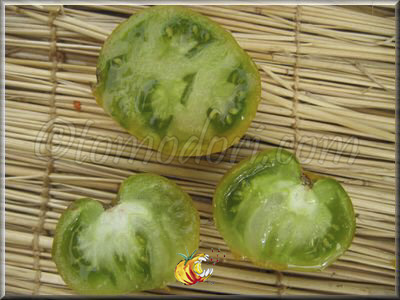 Tomate Gold And Green