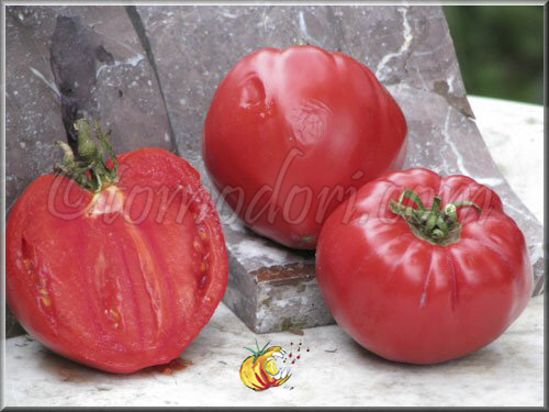 Tomate Grandi De La Signora