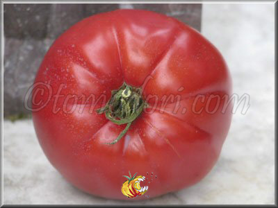 Tomate Grandi De La Signora