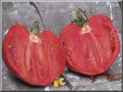 Tomate Grandi De La Signora