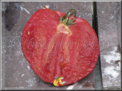 Tomate Grandi De La Signora