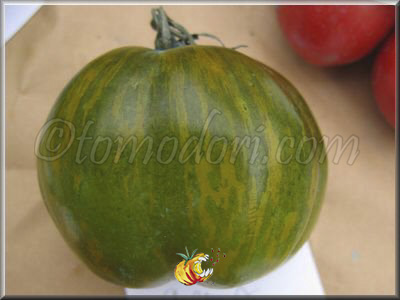 Tomate Green And Yellow