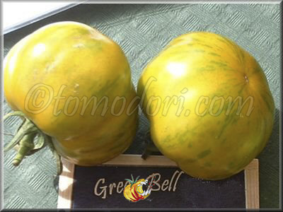 Tomate Green Bell Pepper