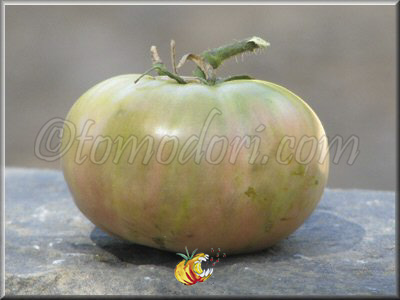 Tomate Green Giant