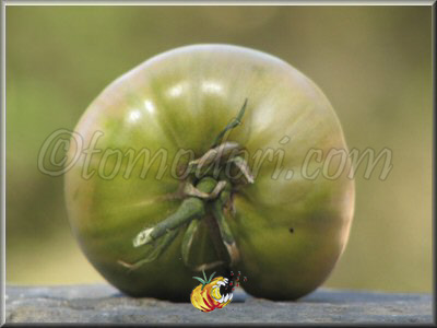 Tomate Green Giant
