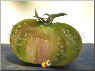 Tomate Green Giant
